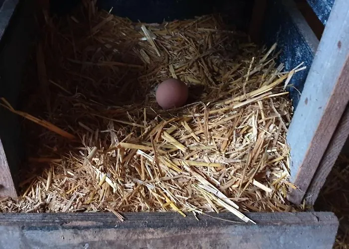 't Hûske Chalet Venhorst