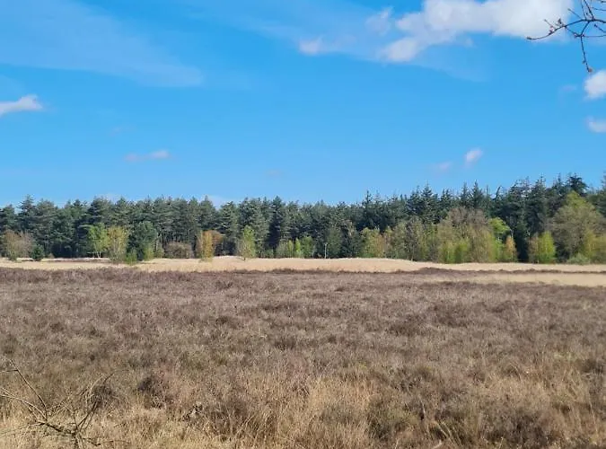 't Hûske * Venhorst