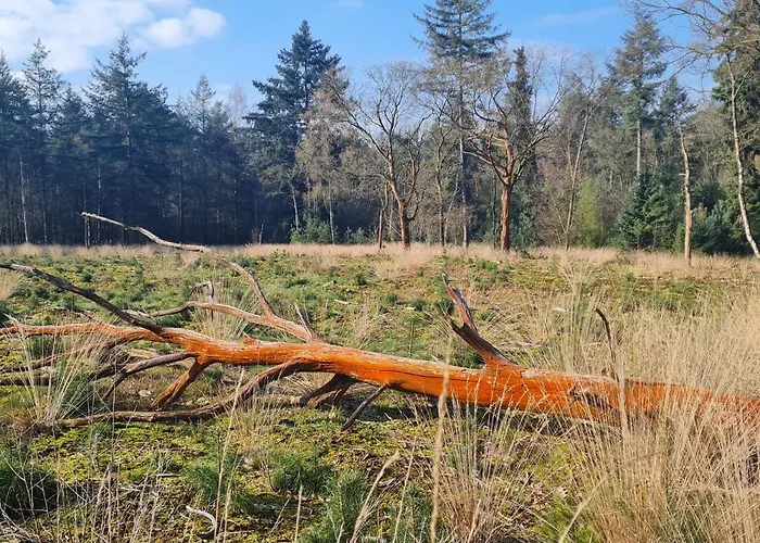 Chalet 't Hûske Venhorst