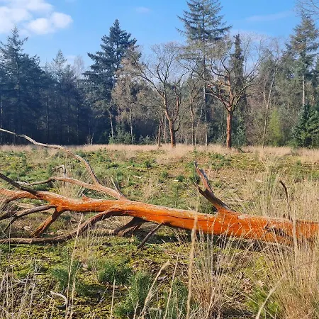 シャレー 't Huske Venhorst