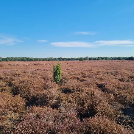 シャレー 't Huske